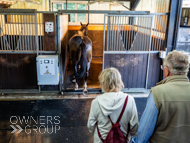 WG061023-32 - Warren Greatrex stable vist
